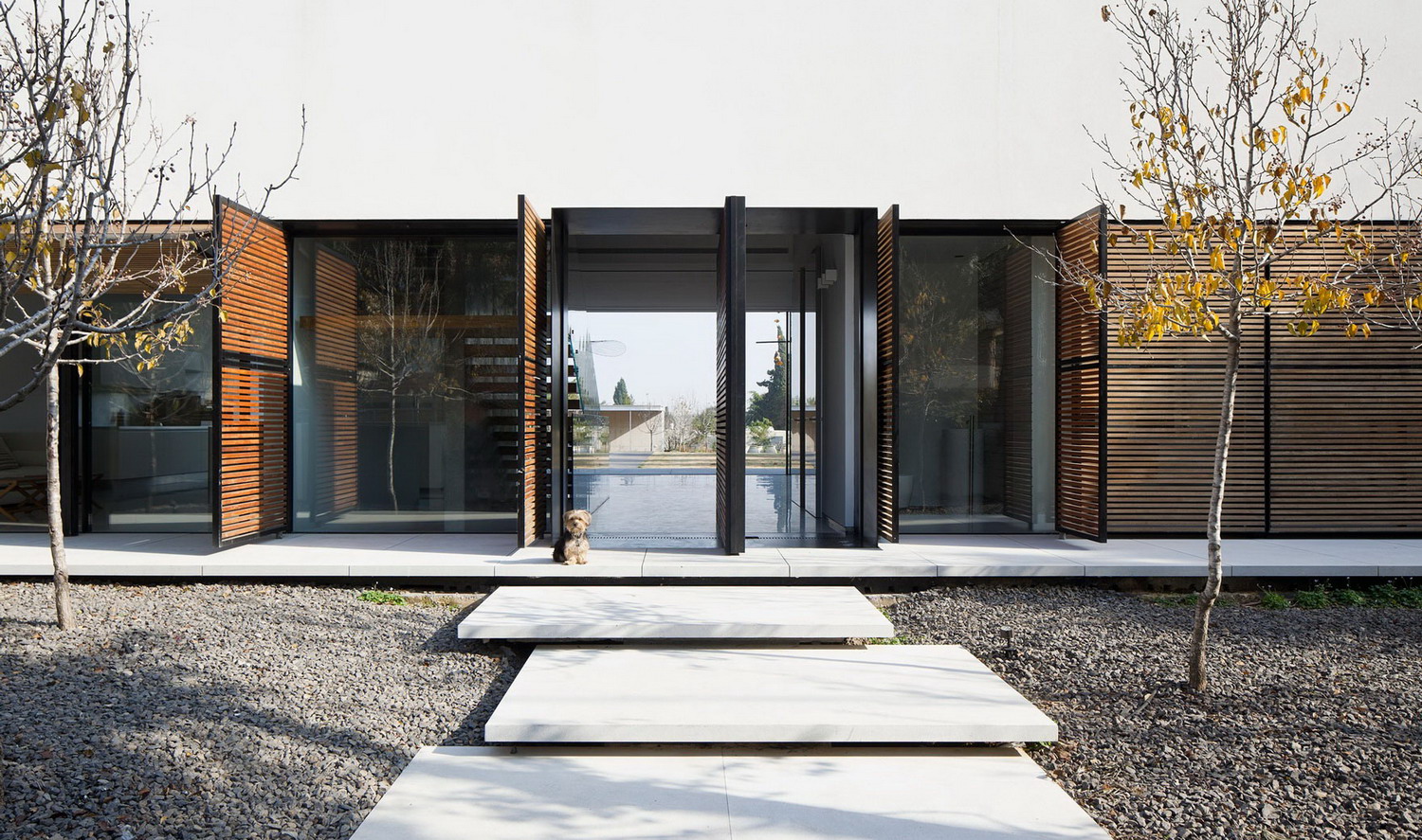 以色列现代百叶窗式住宅,自然光线与户外泳池完美融合-23