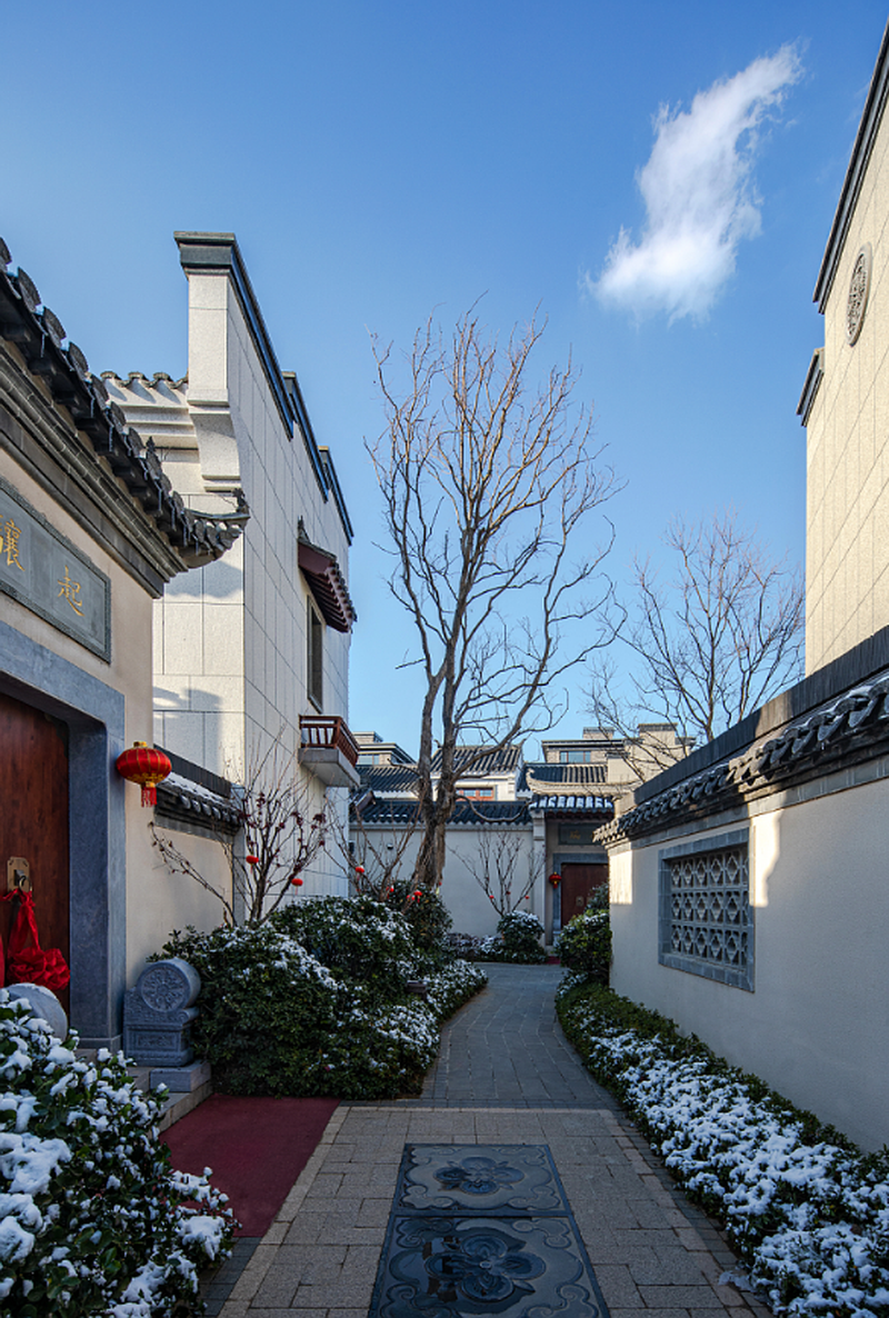 江苏蒋坝银杏广场丨中国淮安-1