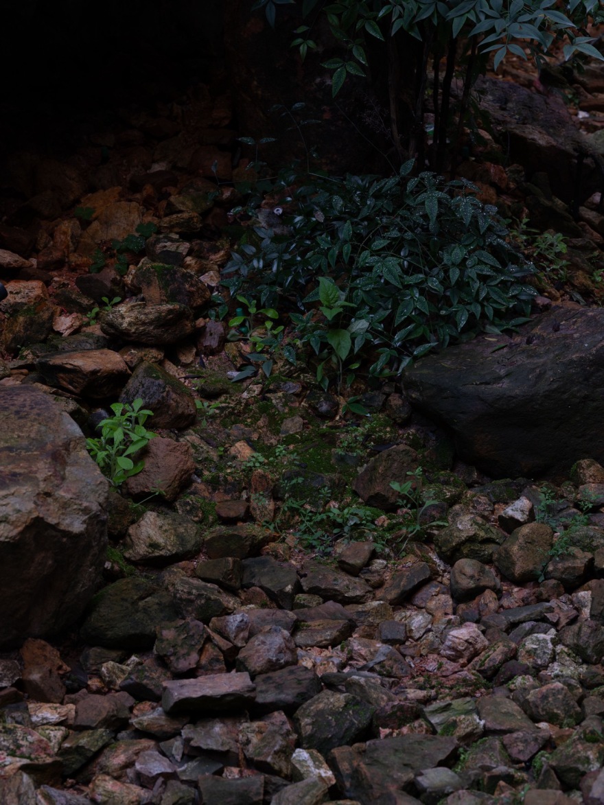 驯·烘焙(烟台山)丨中国福州丨退化建筑-102