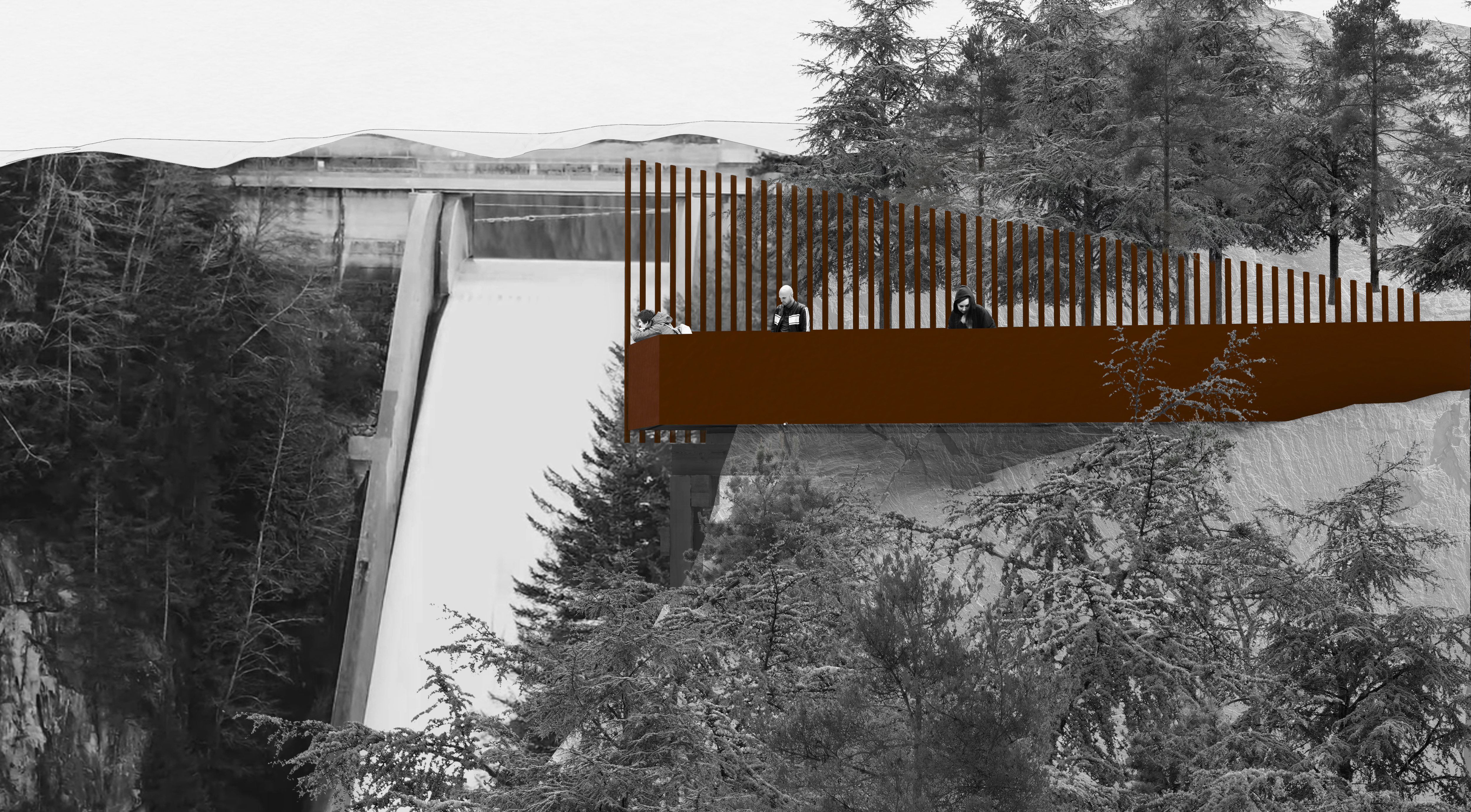 卡皮拉诺孵化场-1