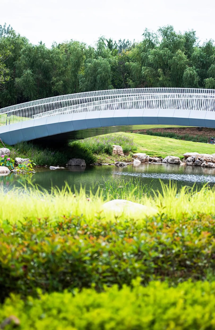 枣庄高新区人才公园设计丨中国枣庄丨同圆设计集团股份有限公司-49