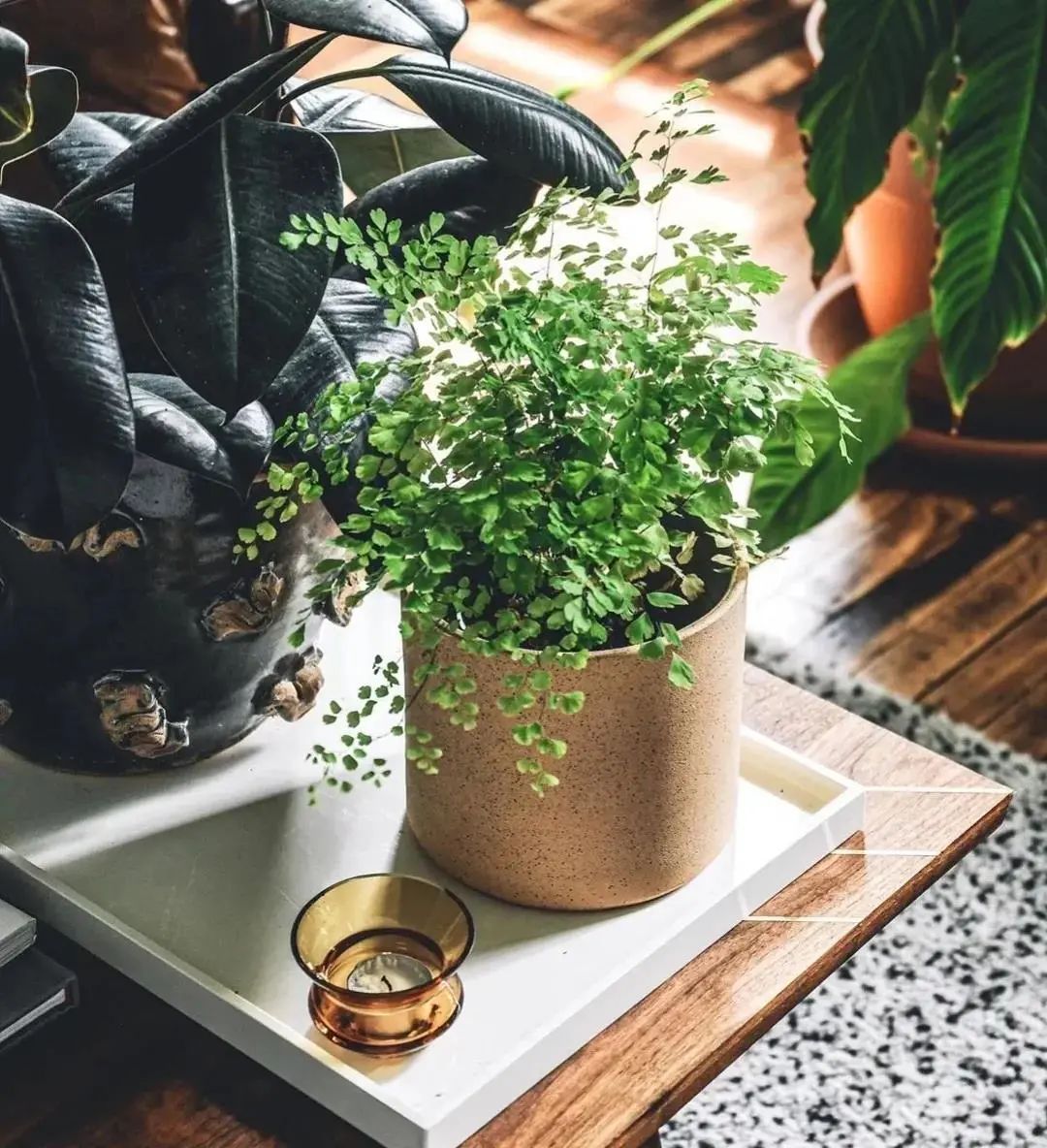 绿植搭配室内设计，打造自然家居之美-69