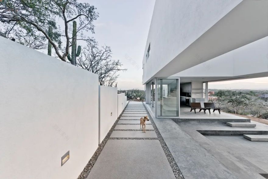 莱基工作室丨加拿大温哥华丨OHN 奥恩-163