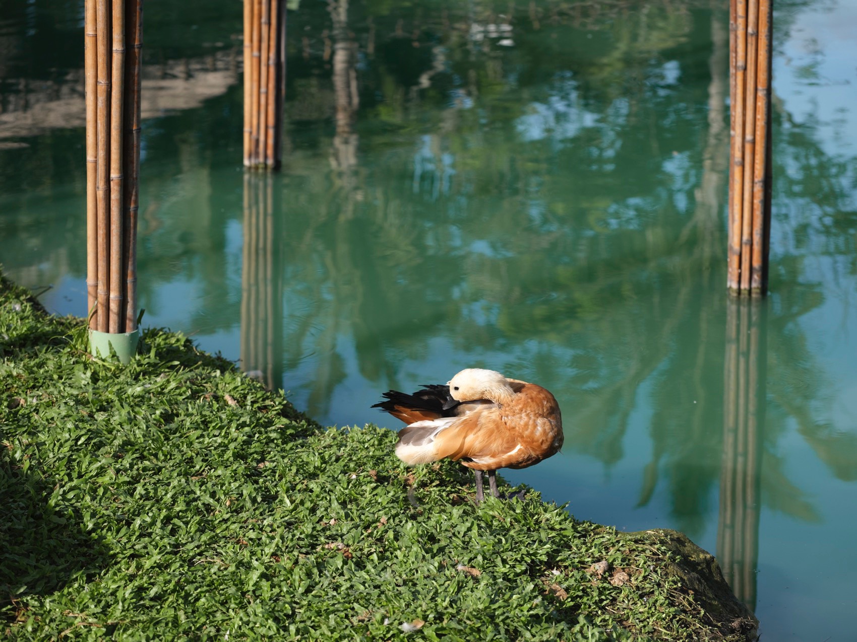 麓湾水集丨中国万宁丨昱道景观-60