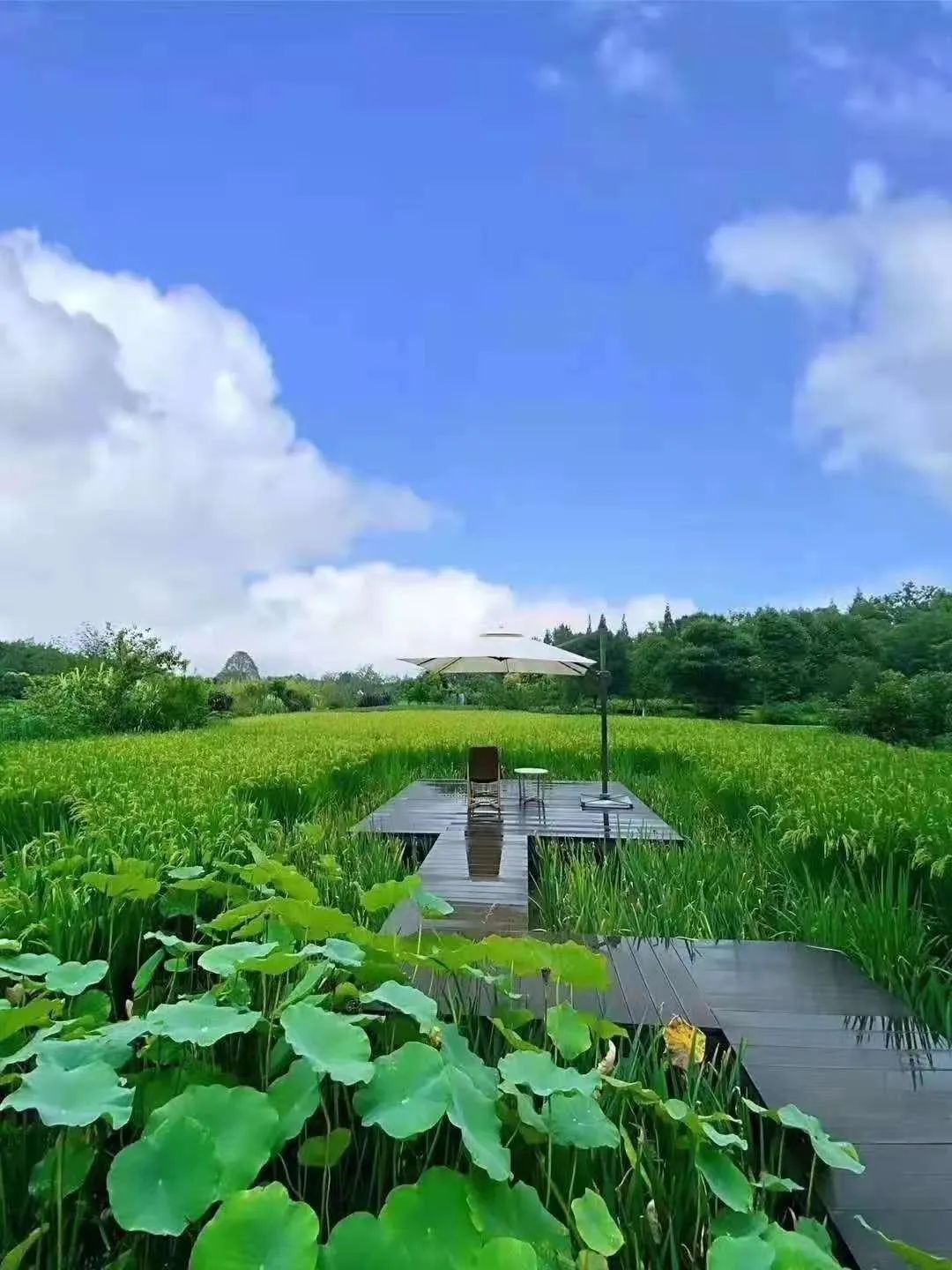 天府水岛林盘依田桃源丨中国成都丨梦景未来DDM-42