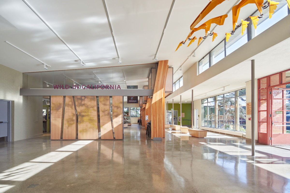 旧金山 Randall 博物馆翻新升级,绿色环保互动体验-10