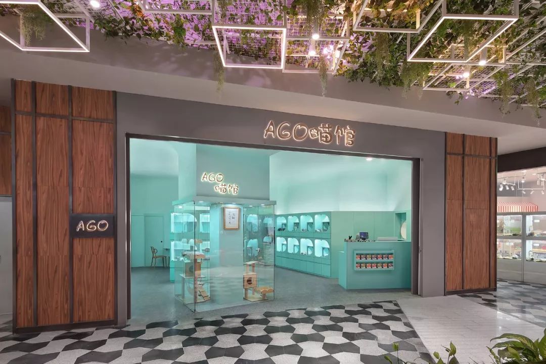 未耒 | 蓝绿矩阵 猫咪丛林-6