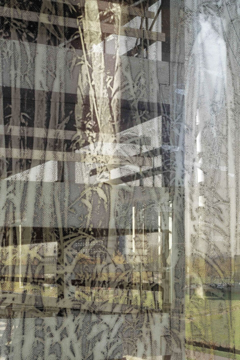 乌得勒支大学图书馆-43