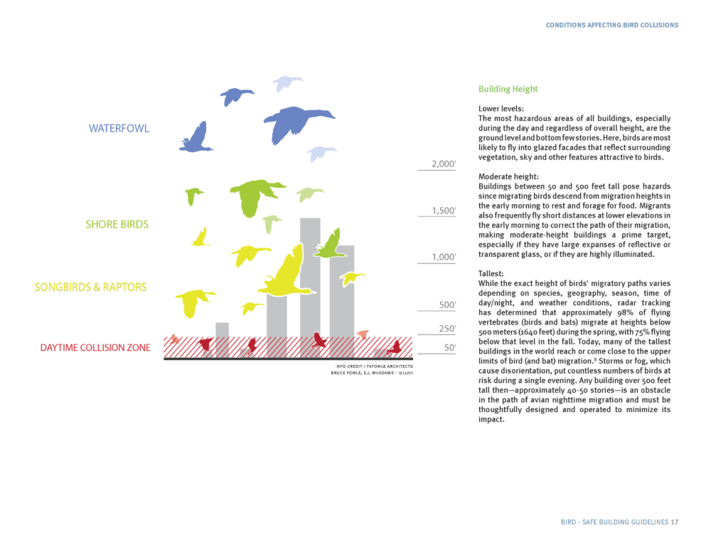 
          Bird-Safe Building Guidelines - SCAPE      -3