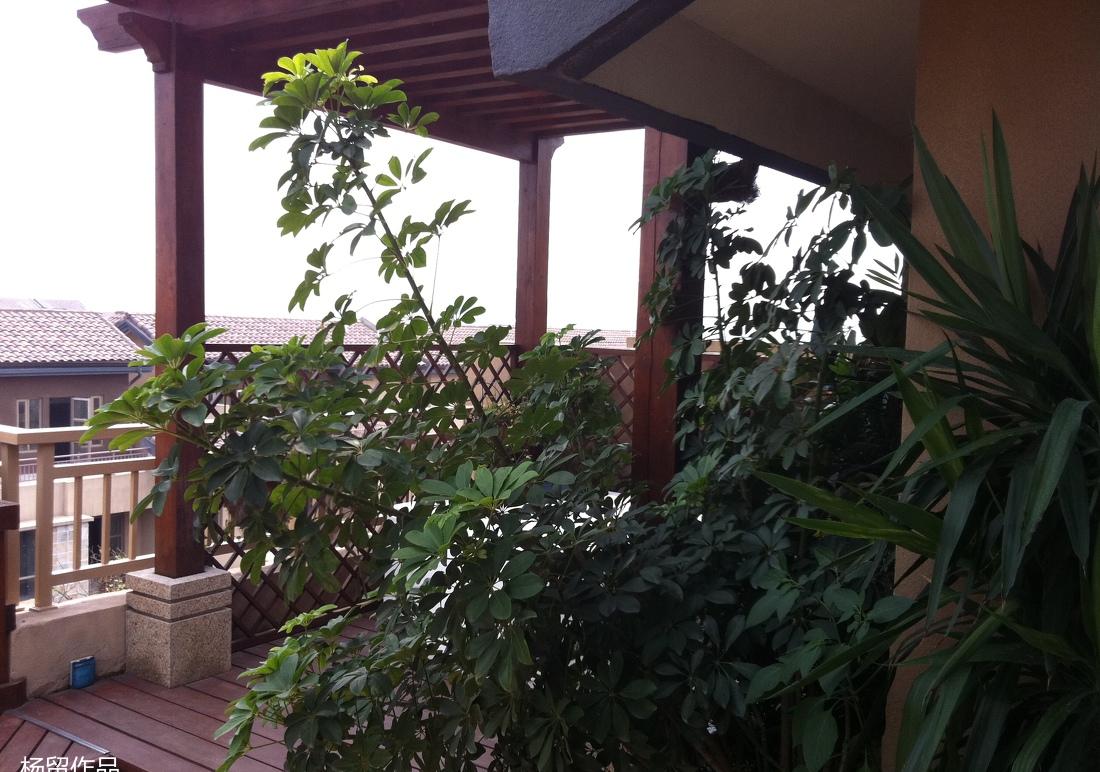 天庐样板房设计解析-0