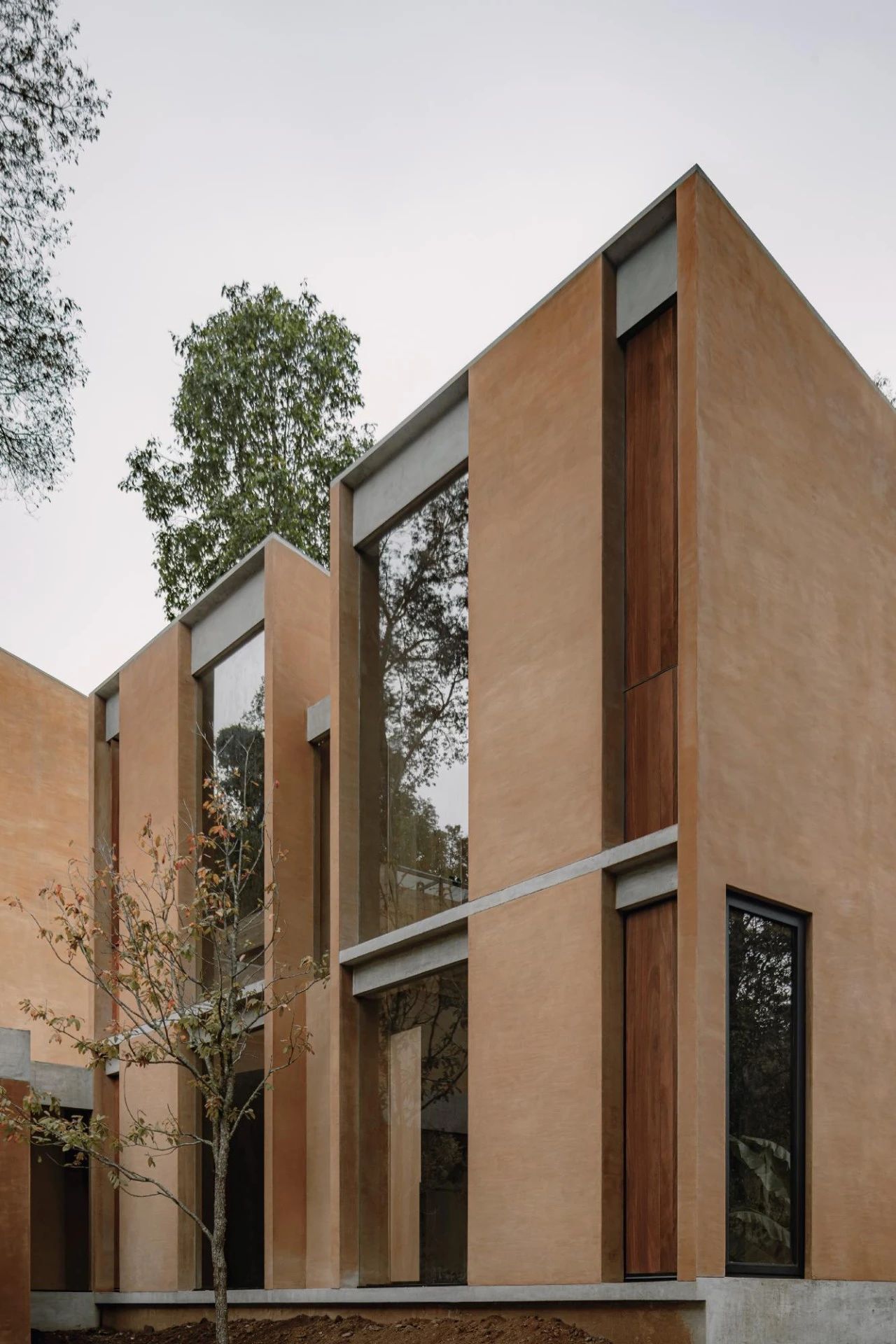 蕨类植物丨墨西哥丨Taller Hector Barroso-10