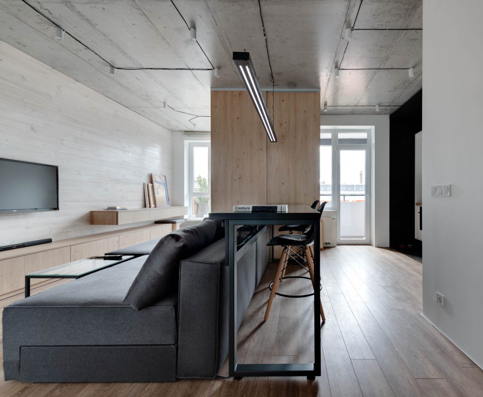 基辅 42㎡现代音乐发烧友公寓设计-1