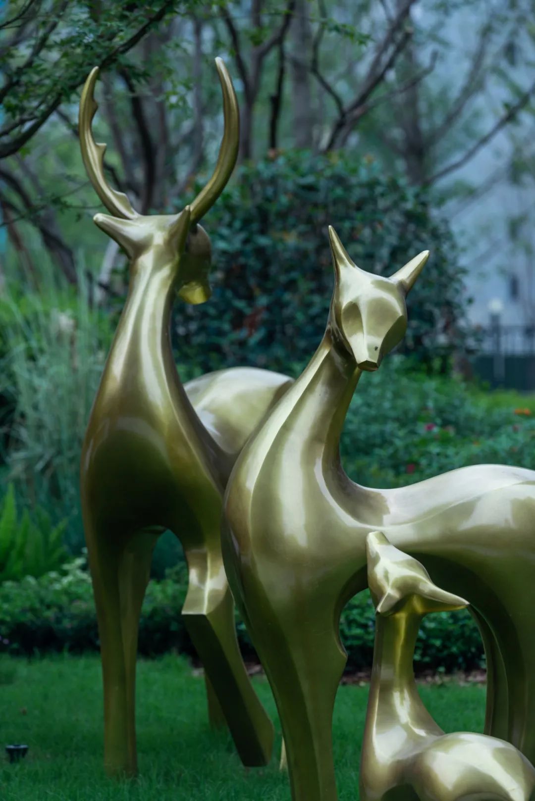 万科·金开悦府锦悦 | 生活“园”来如此-154