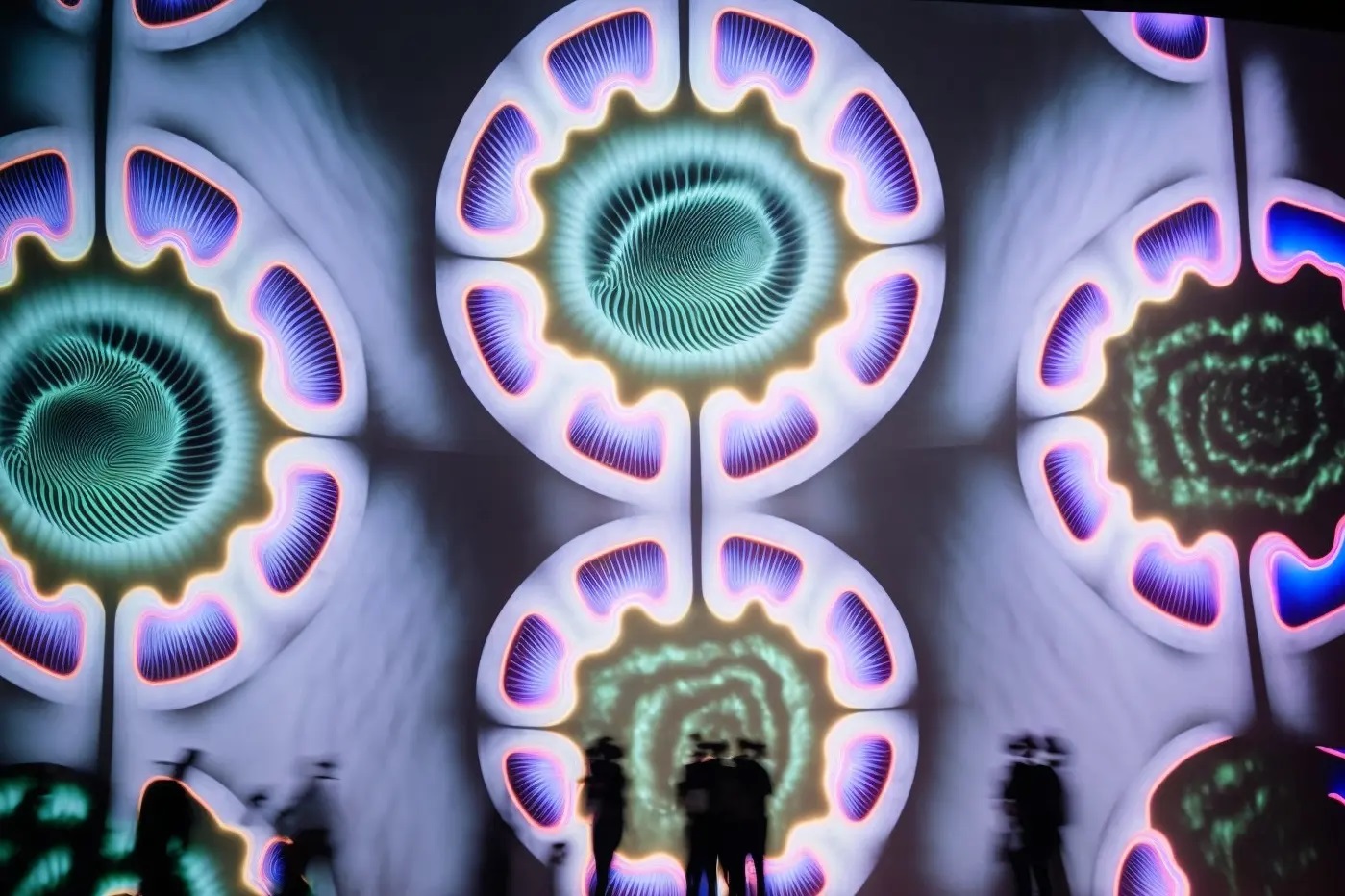 微生物奇观展示设计-3