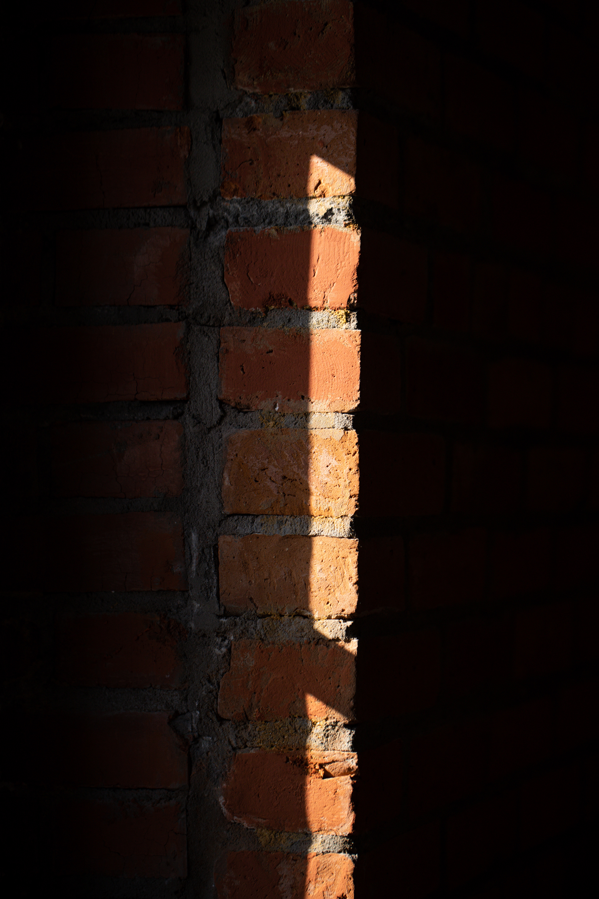 居酒屋 洋彩丨RussiaOmsk-13