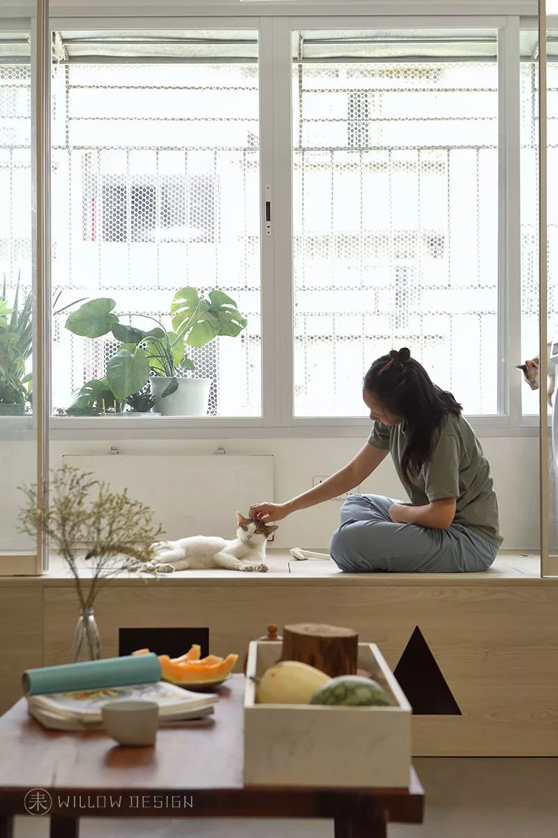 未耒 | 三房两猫-52