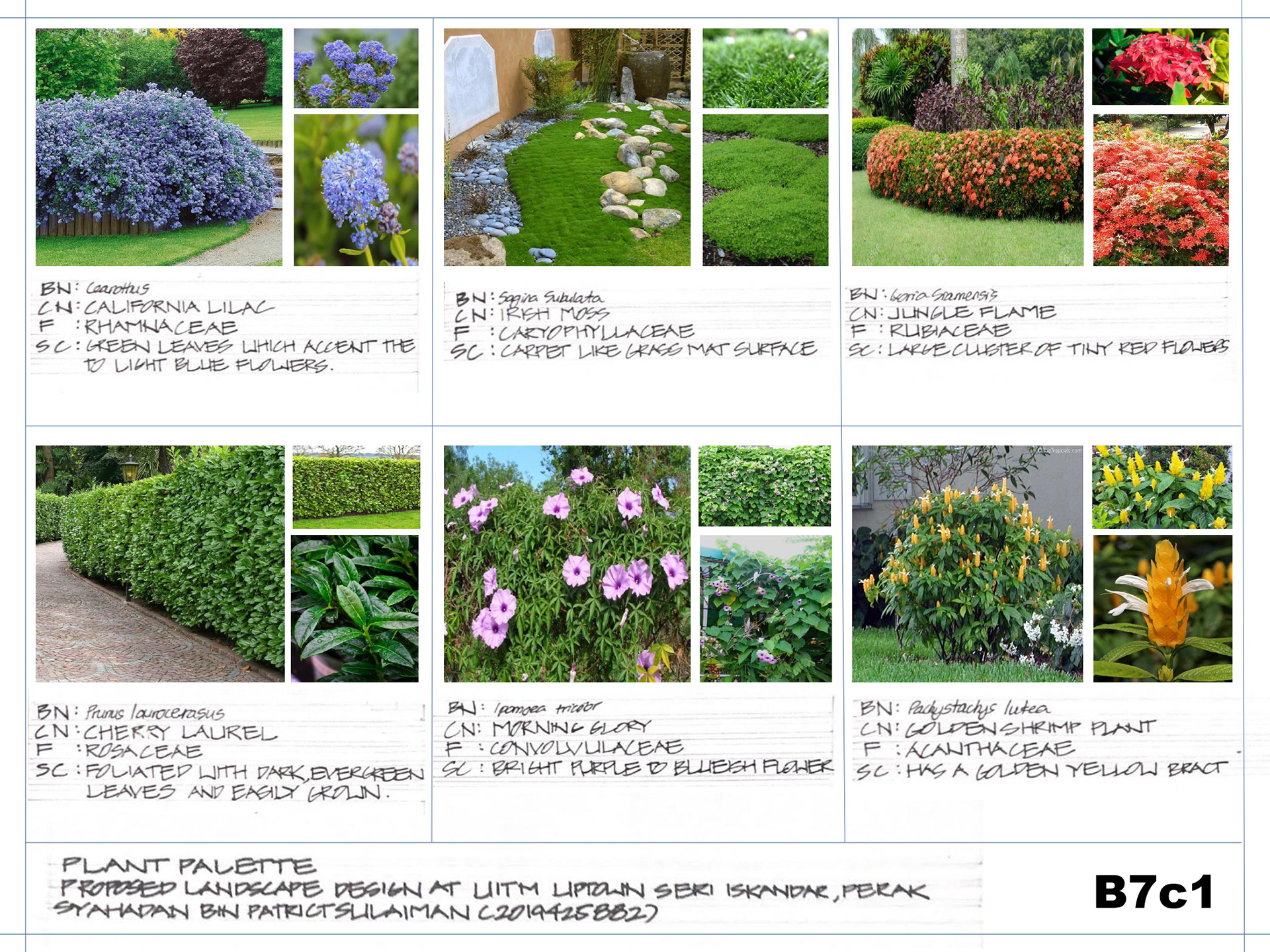 SITE DESIGN PROCESS-5