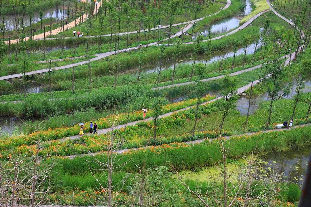 六盘水明湖湿地公园，贵州 / 土人-24