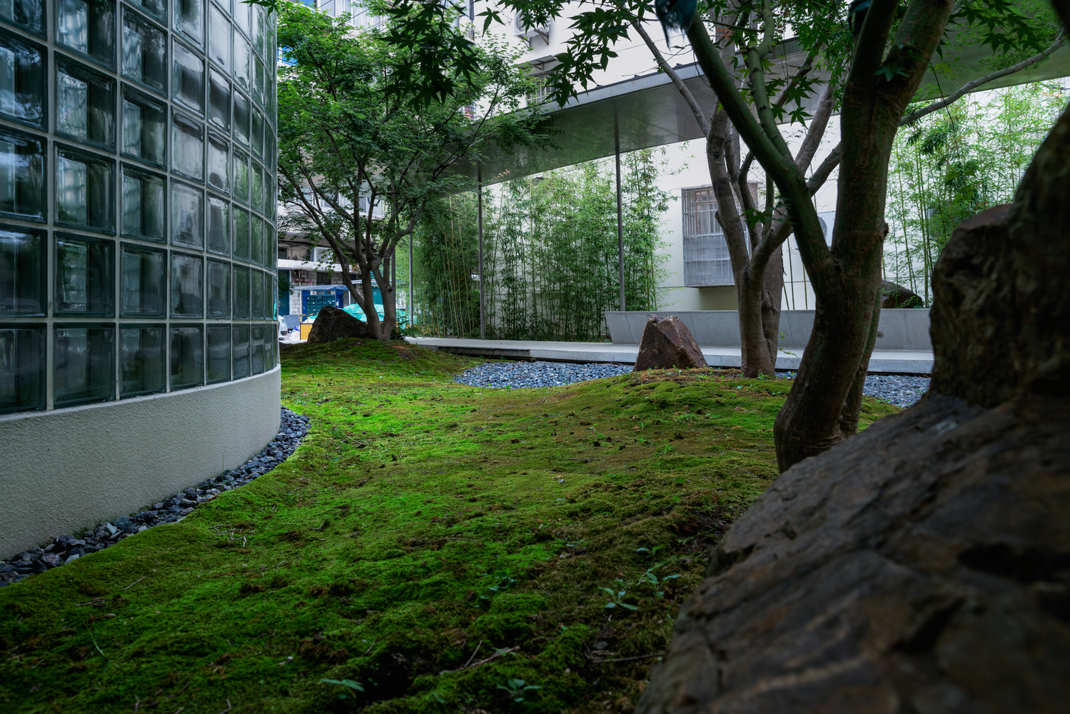 共享社区优雅 · 上海东苑二村邻里服务站与活动室设计-19