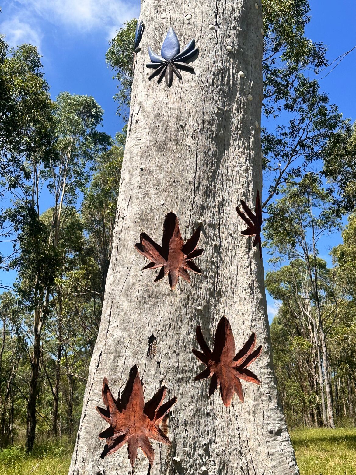 Supporting First Nations artists - Tilt | Indesignlive-3