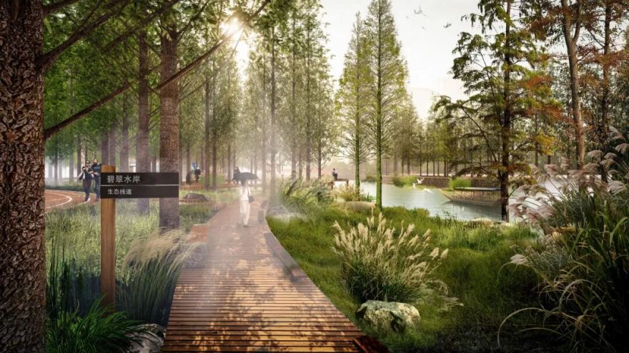 【中瀚设计】乐清体育公园:生态与运动的城市实验-27