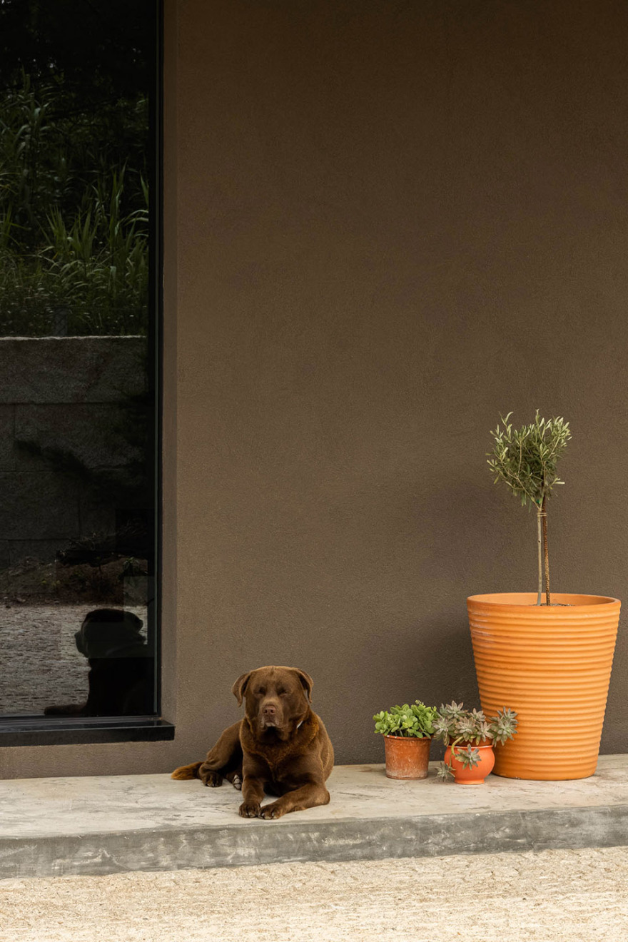 马达莱娜之家丨葡萄牙丨Paulo Martins Arquitectura-113