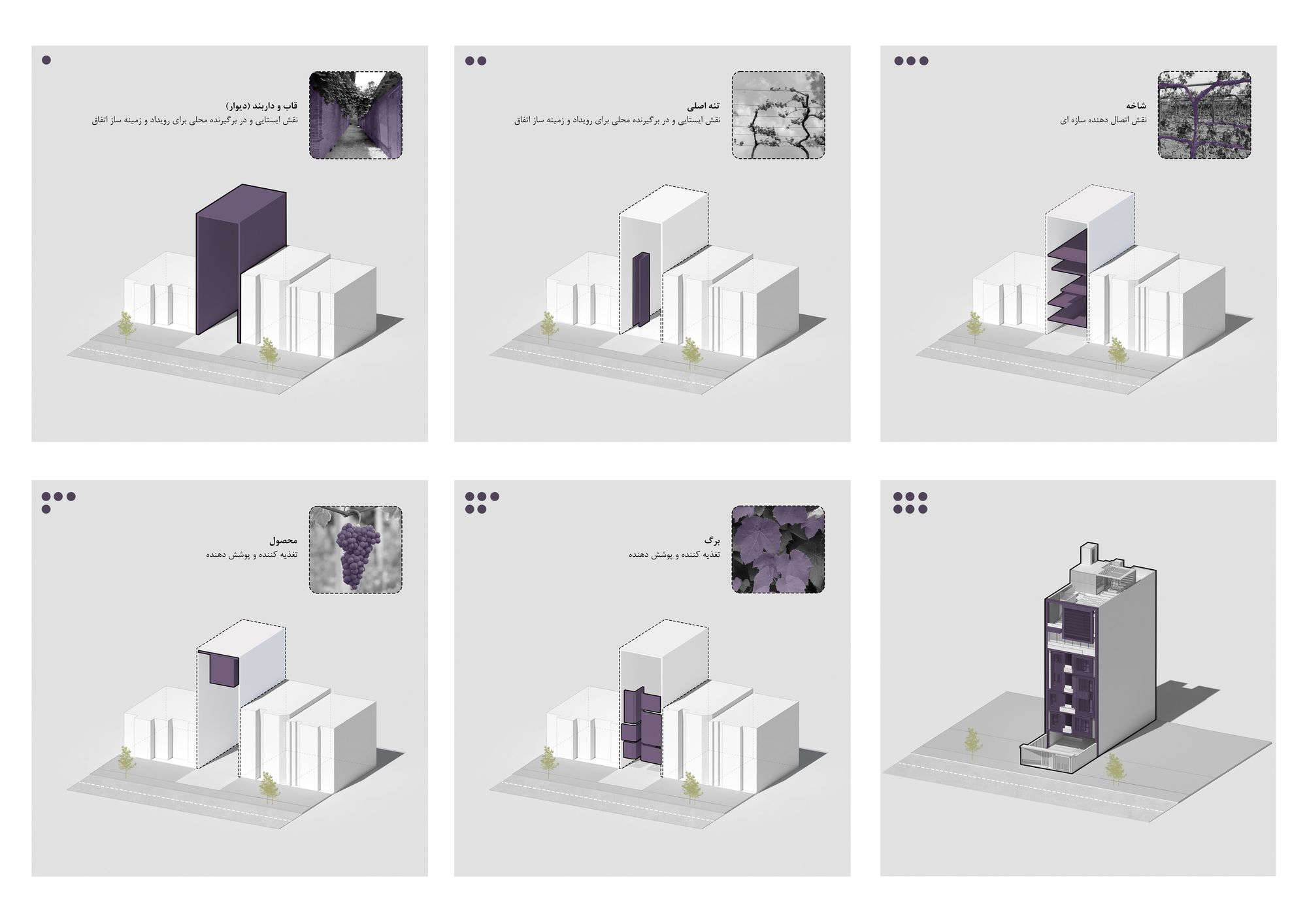 葡萄梗公寓丨伊朗丨barsav architecture office-36