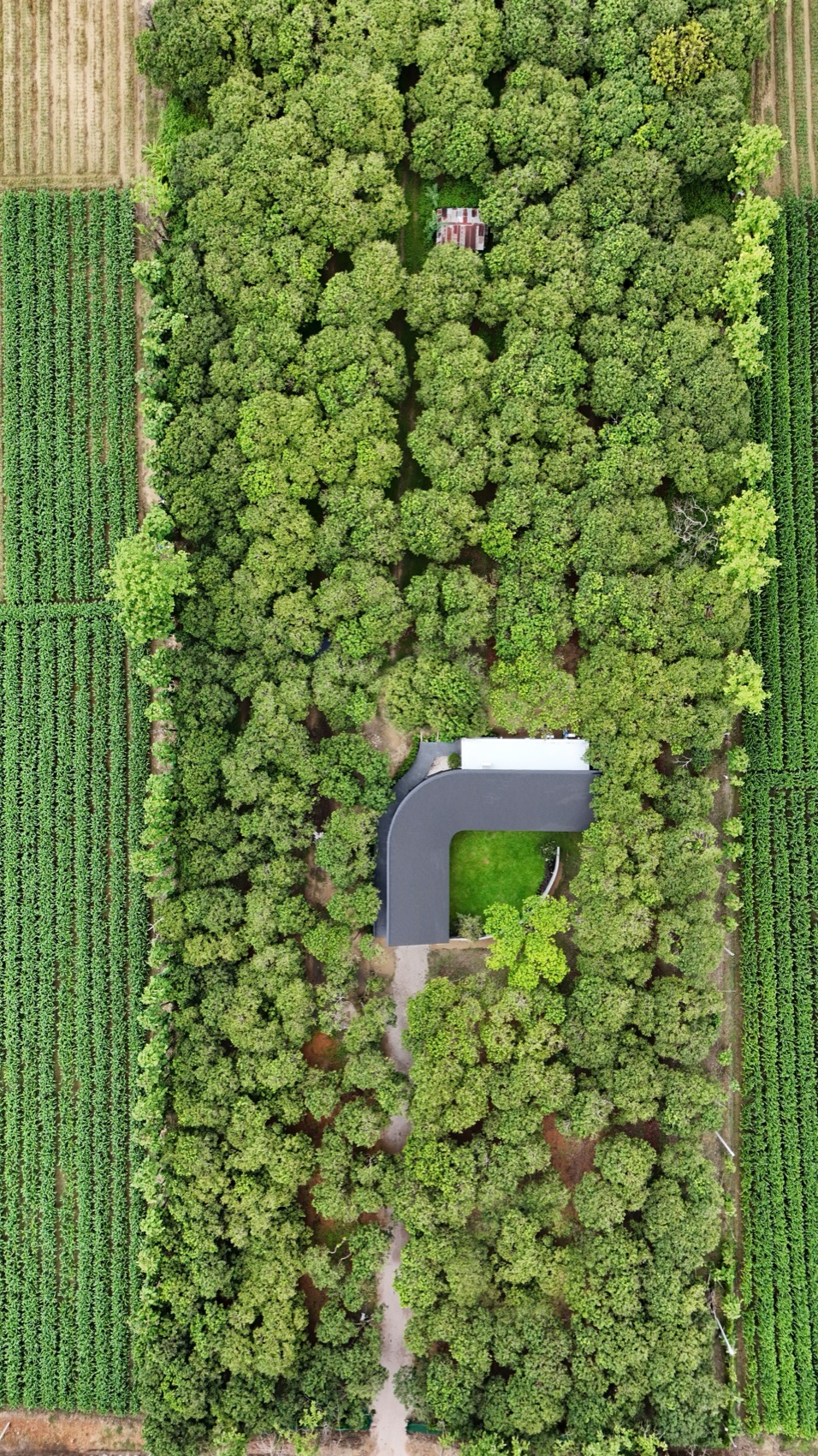 小花园中的MADA咖啡馆丨泰国丨BodinChapa Architects-7