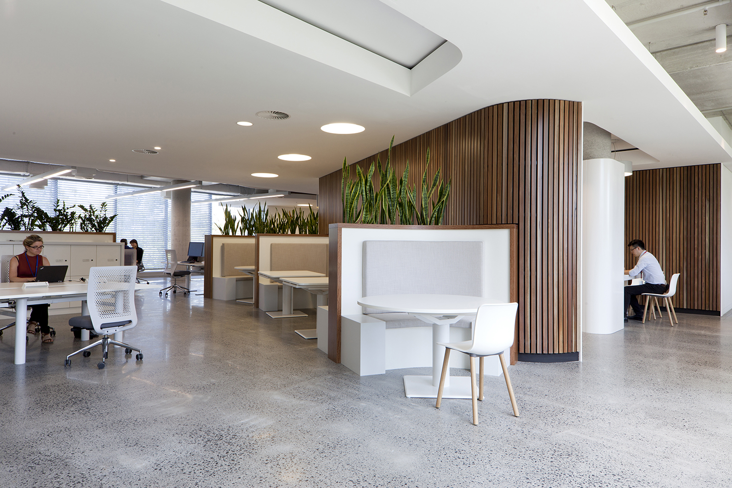 悉尼 HDR 设计室打造的诺华澳大利亚总部-31