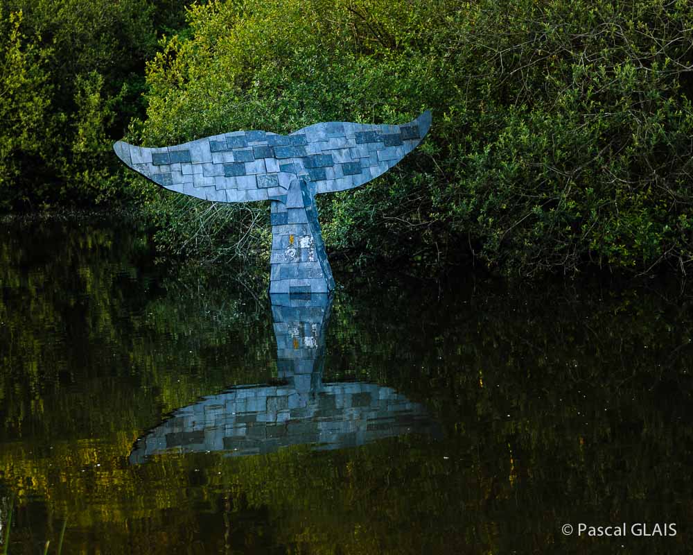 Etangs d'art 2014 :  -20