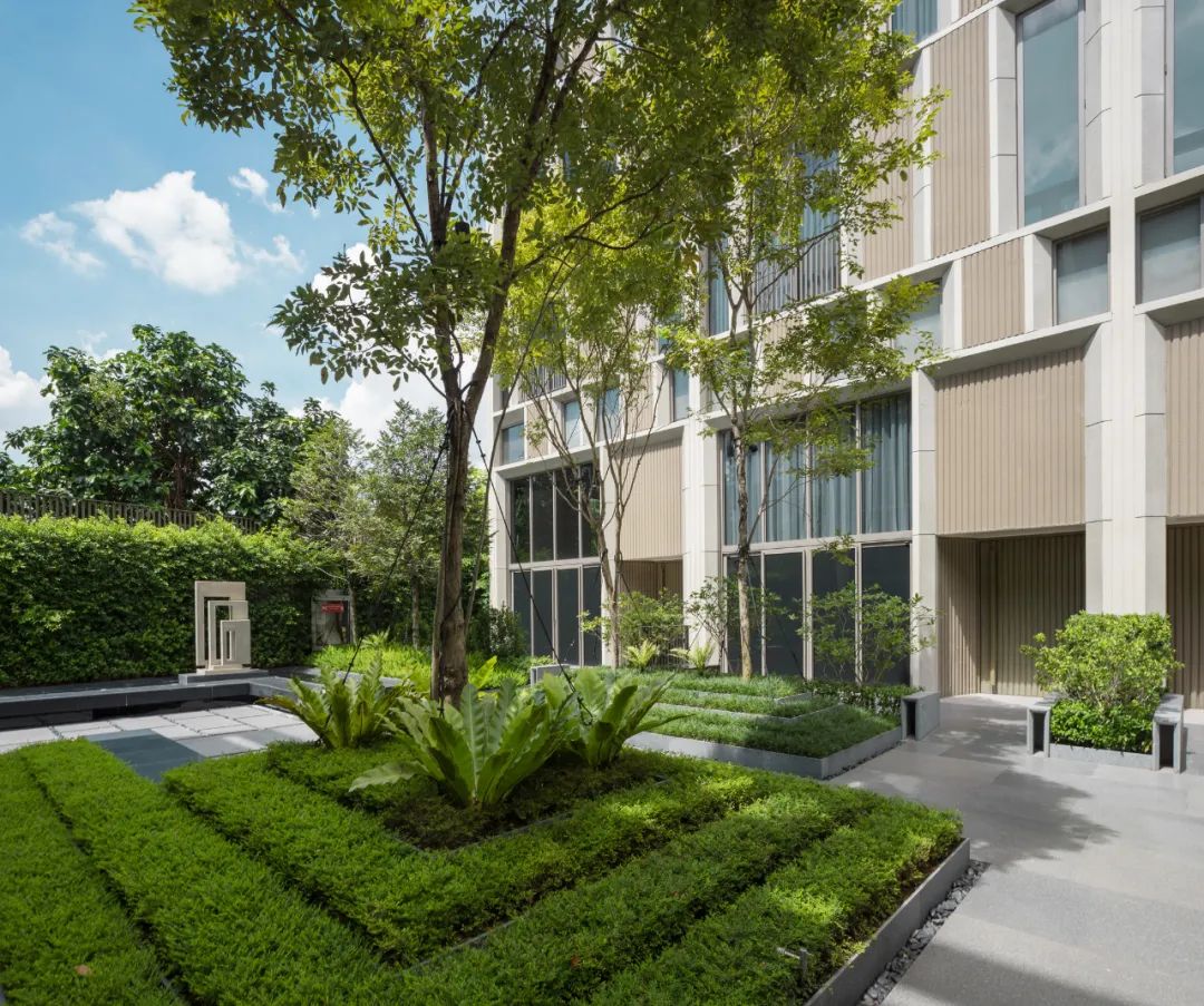 曼谷 Quarter 39 别墅景观 | 阶梯植栽与历史古树共生的绿色家园-26