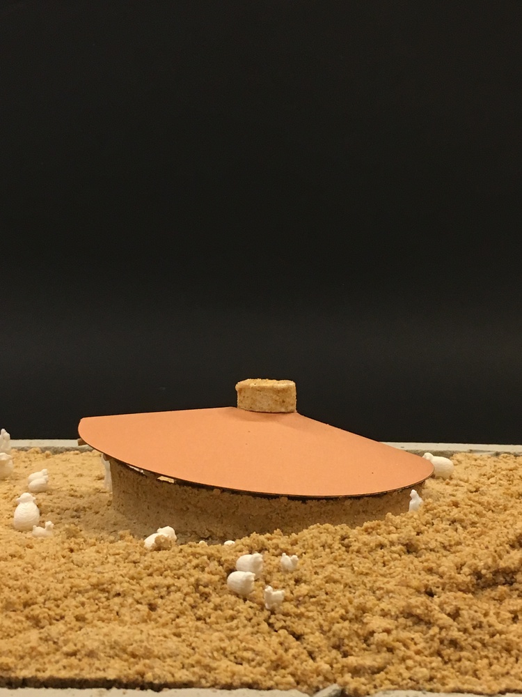 土耳其 Palanga Goat Shelter丨Erginoğlu & Çalışlar Architects-48