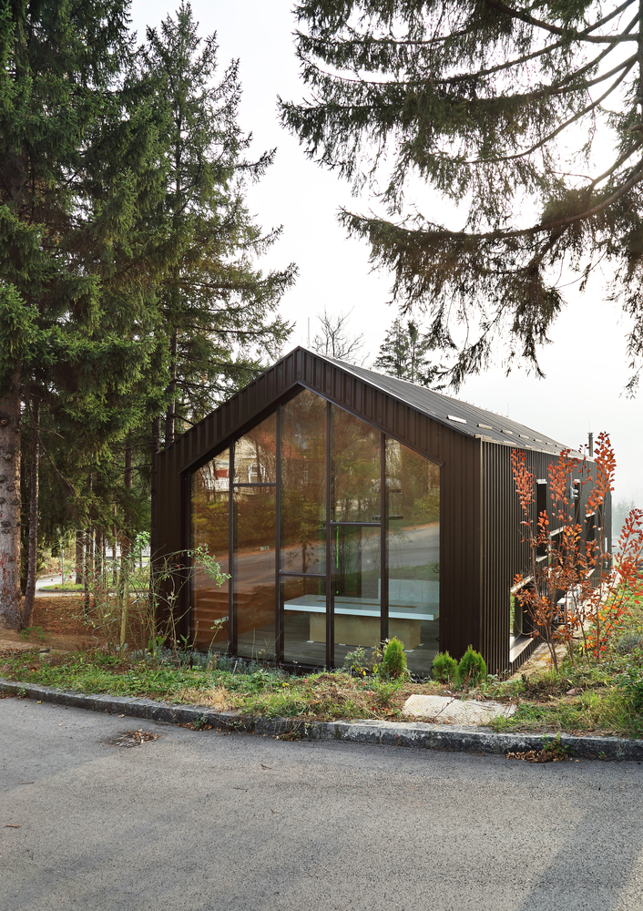 小宅大院，绿意盎然-4