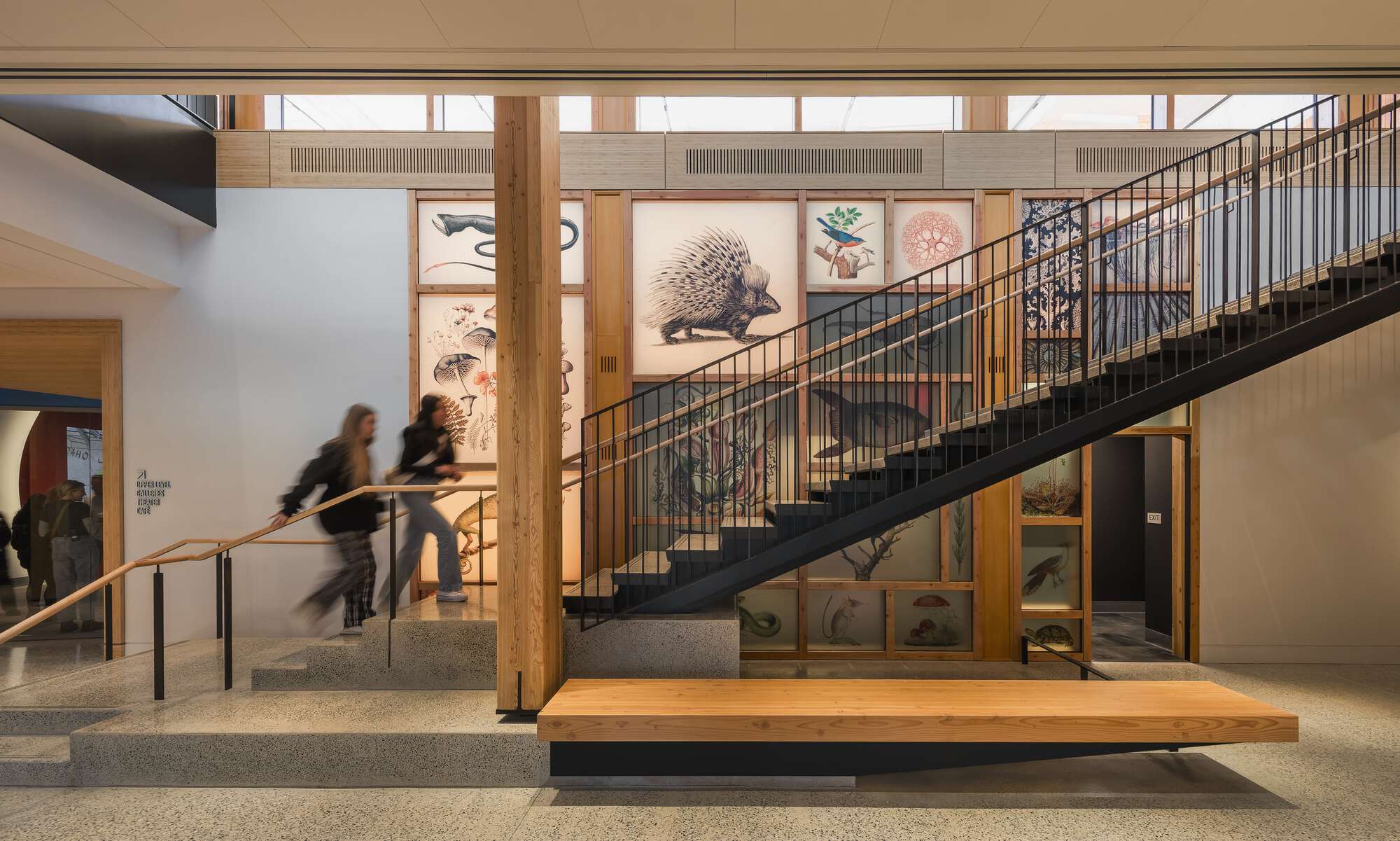 Jean & Ric Edelman Fossil Park & Museum / Ennead Architects-21