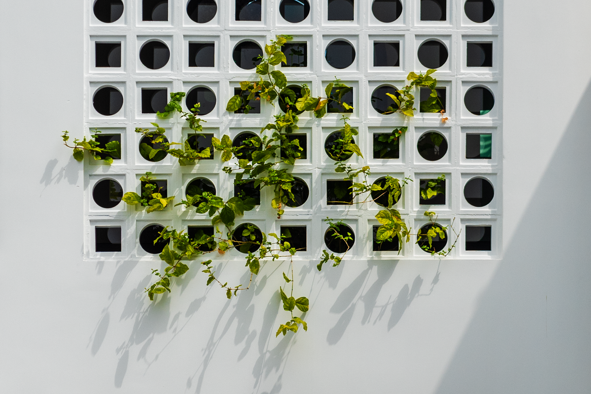 绿意盎然，宜居城市之家-22