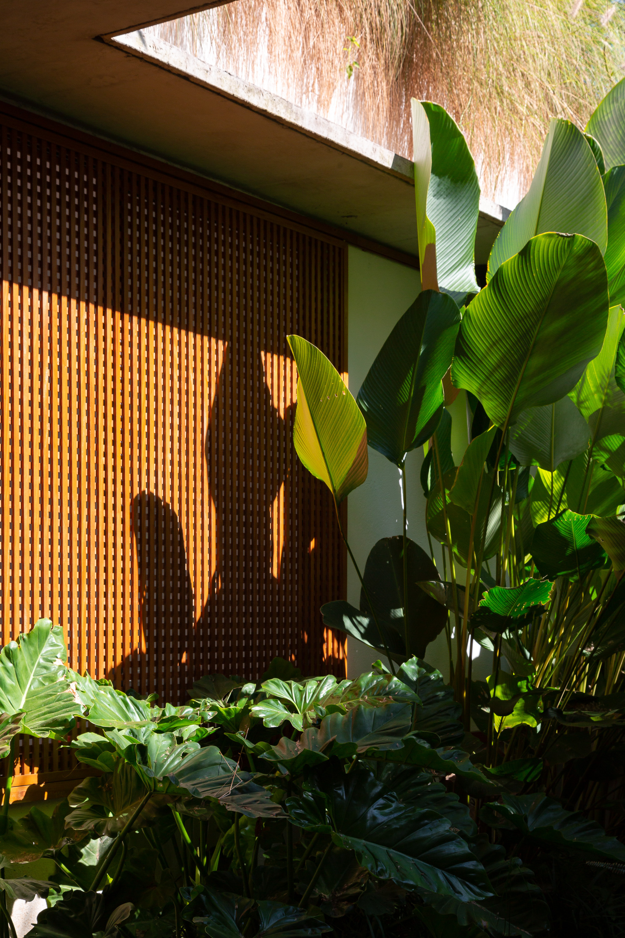 格雷戈里奥·派斯·莱梅宅邸丨巴西圣保罗丨Brasil Arquitetura-16