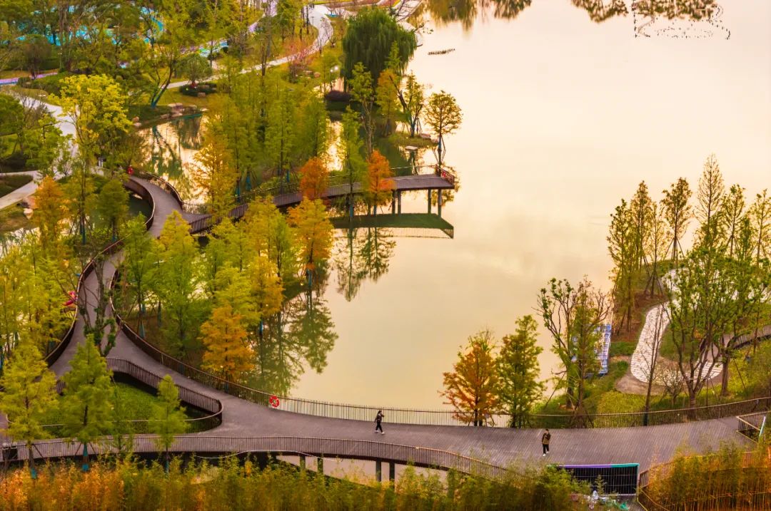 杭州良渚玉湖公园景观设计丨中国杭州丨易兰（北京）规划设计股份有限公司-30