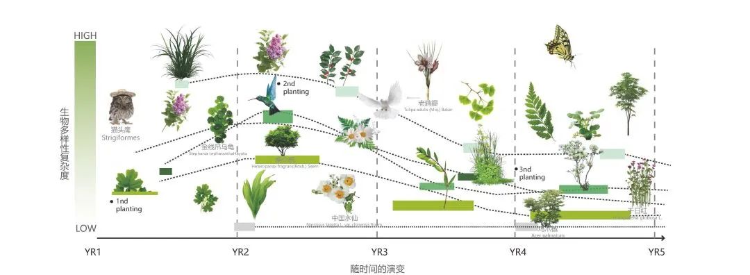 张家港河生态廊道设计丨中国江苏-53