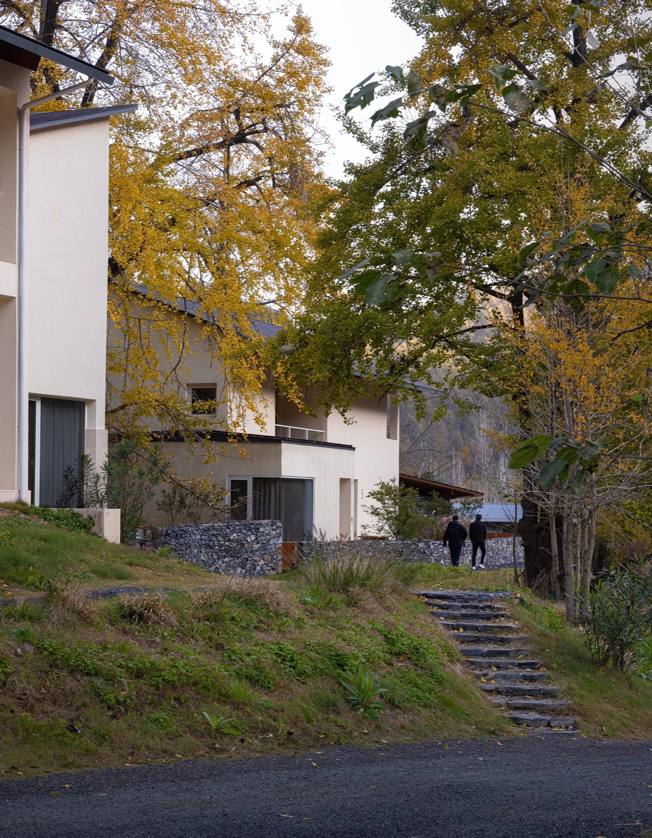 大乐之野·银杏谷丨中国洛阳丨上海末广建筑设计有限公司-26