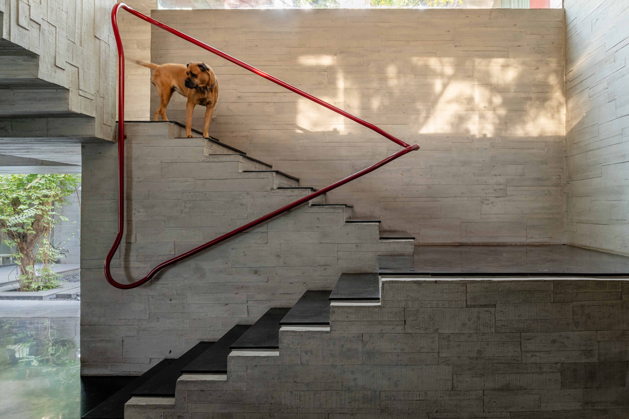 丨印度丨Matharoo Associates-39