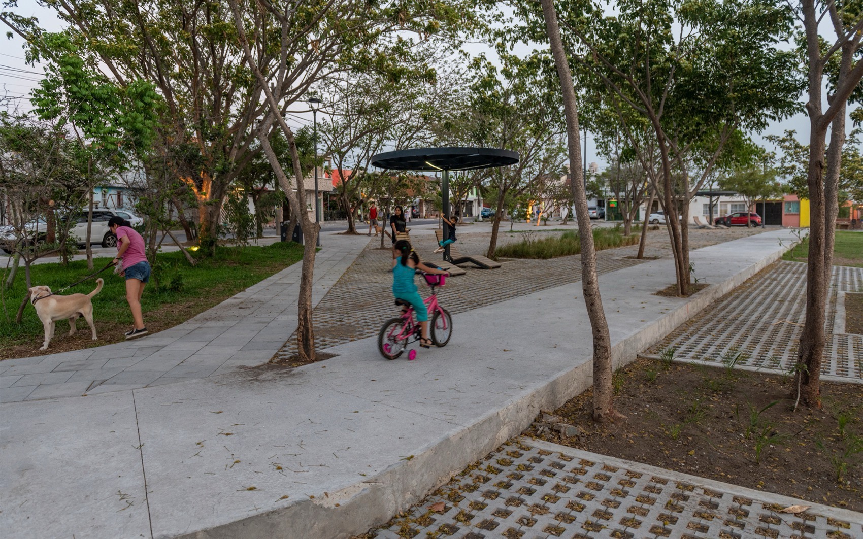 Apulco公园丨墨西哥韦拉克鲁斯丨Taller Multidisciplinar-23