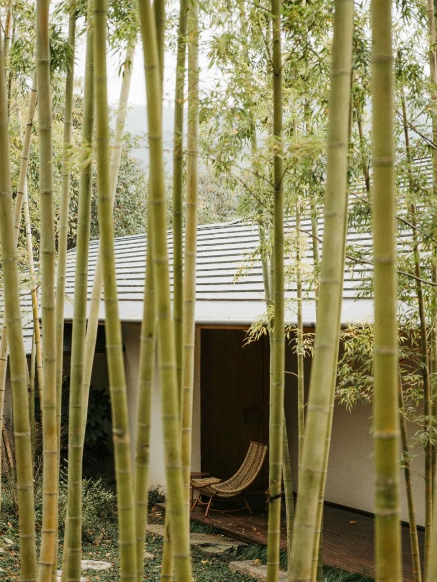 陶园丨中国美术学院风景建筑设计研究总院-38