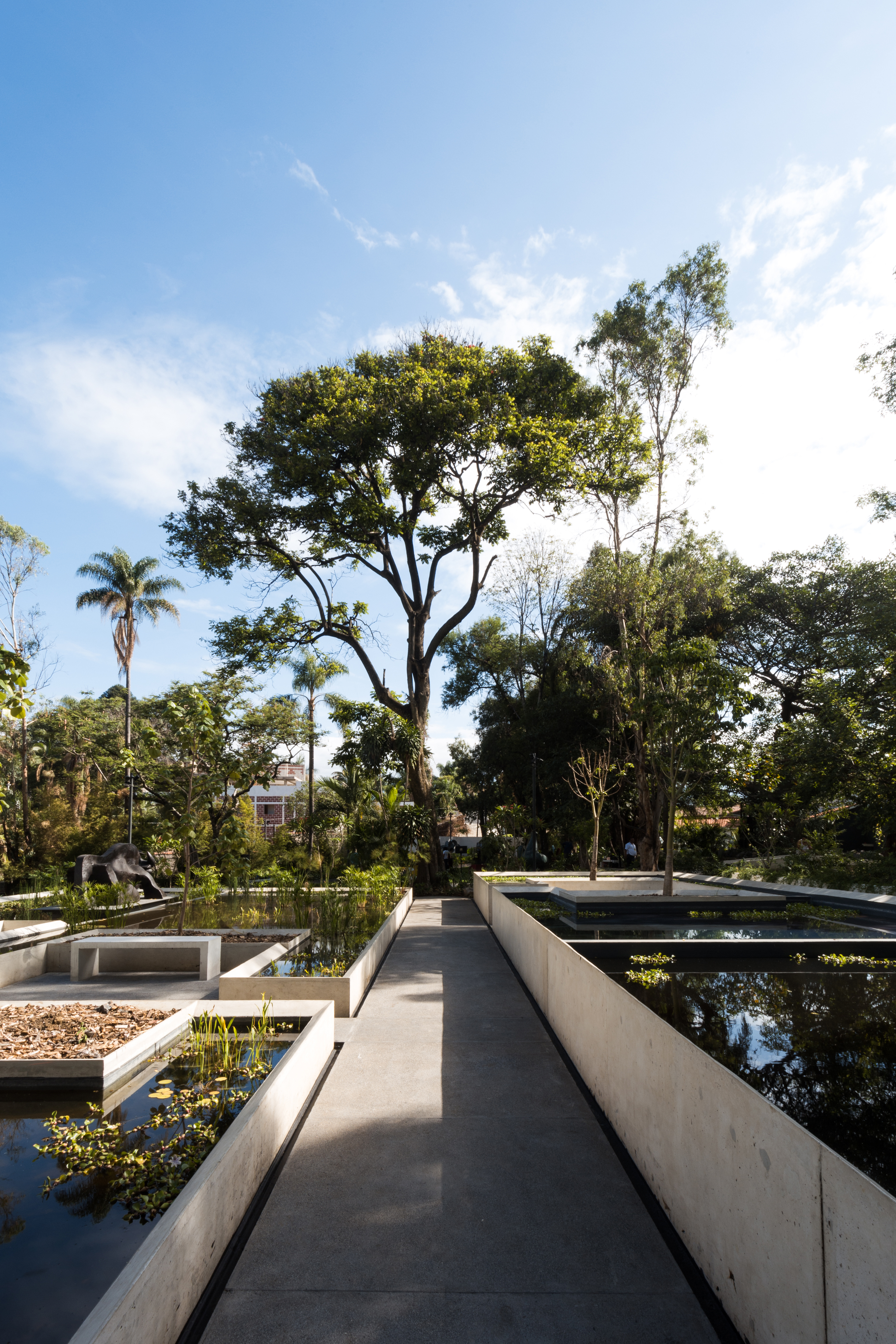 MMAC Juan Soriano | JSa Arquitectura-18