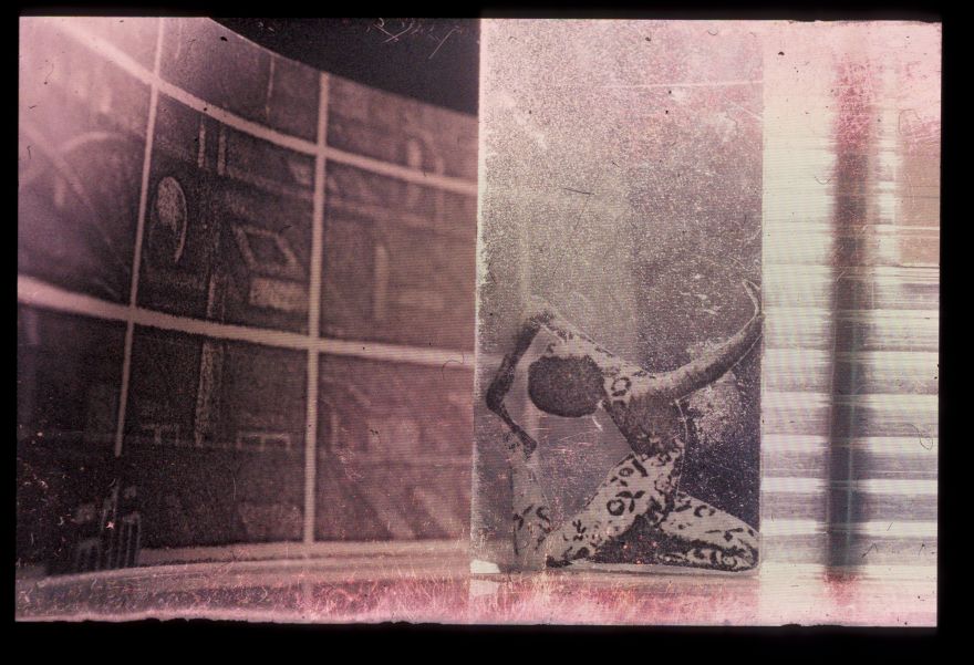 帕莱斯特拉之家-23