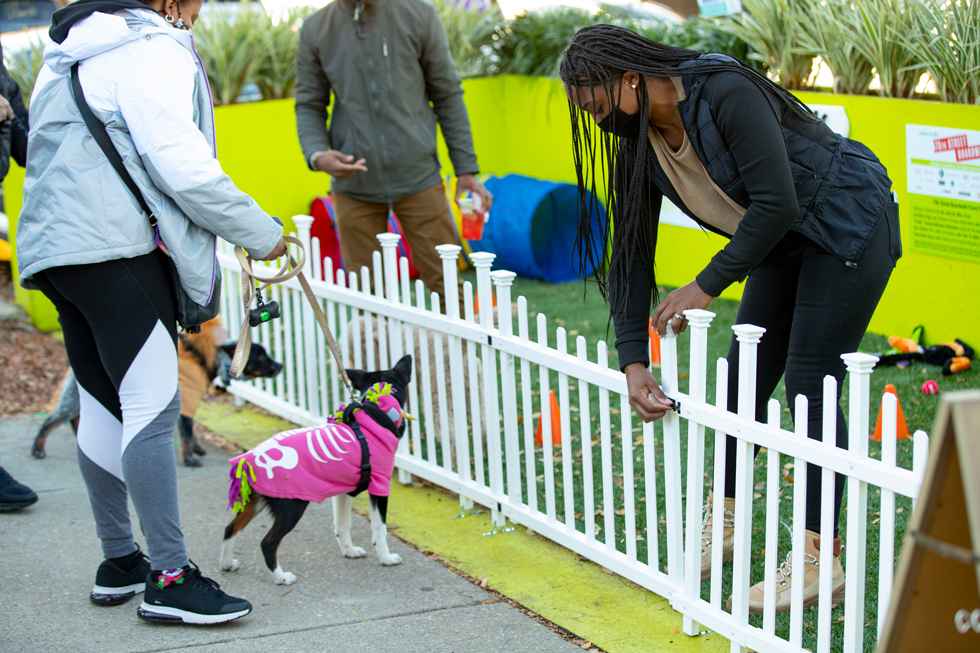 75th Street Boardwalk | Site Design Group-31