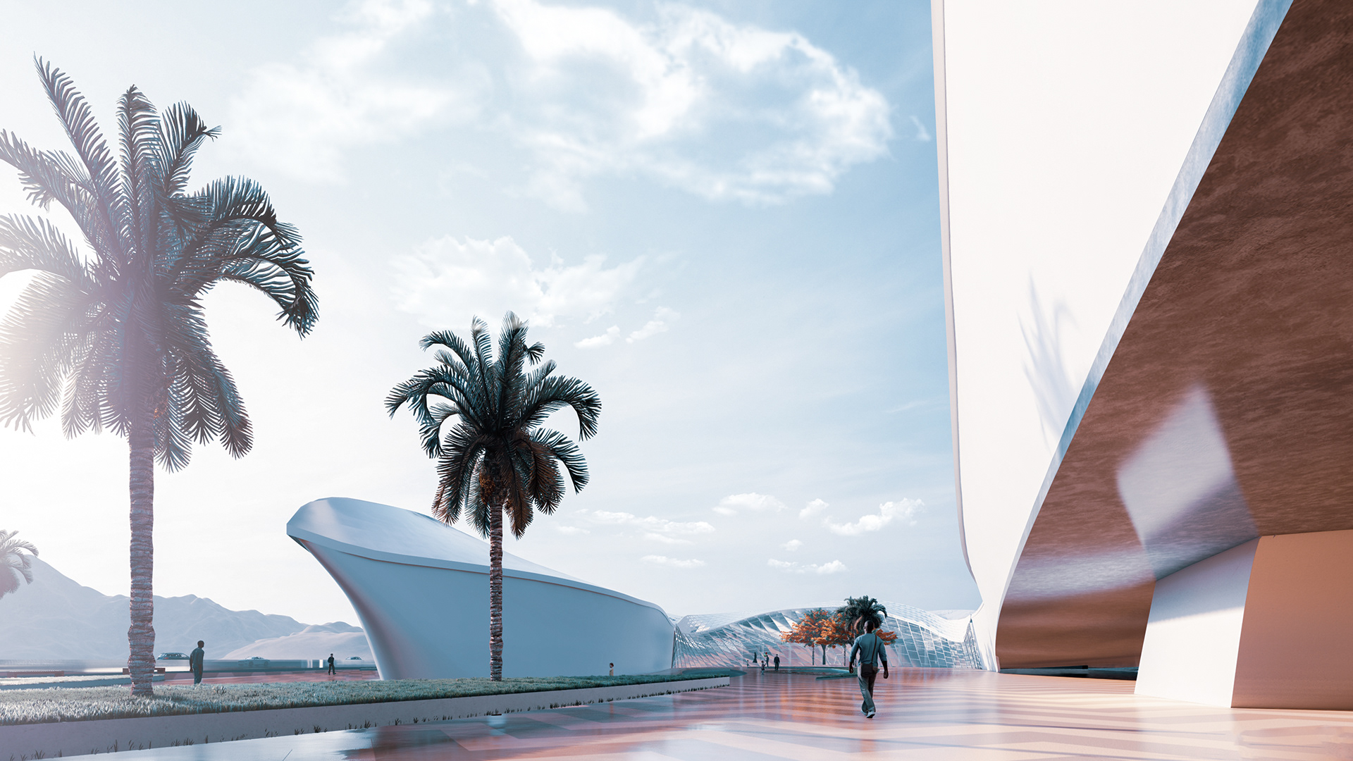 非洲区丨ASUFEDA-26