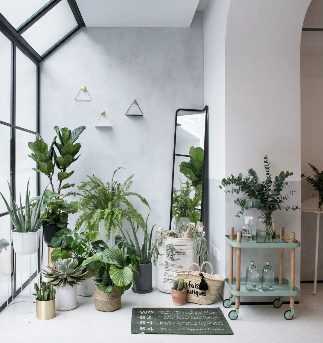 乡野绿意中的艺术之家-15