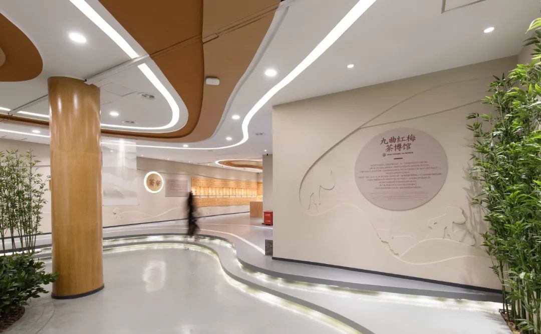 九曲红梅茶文化馆/器合设计-14