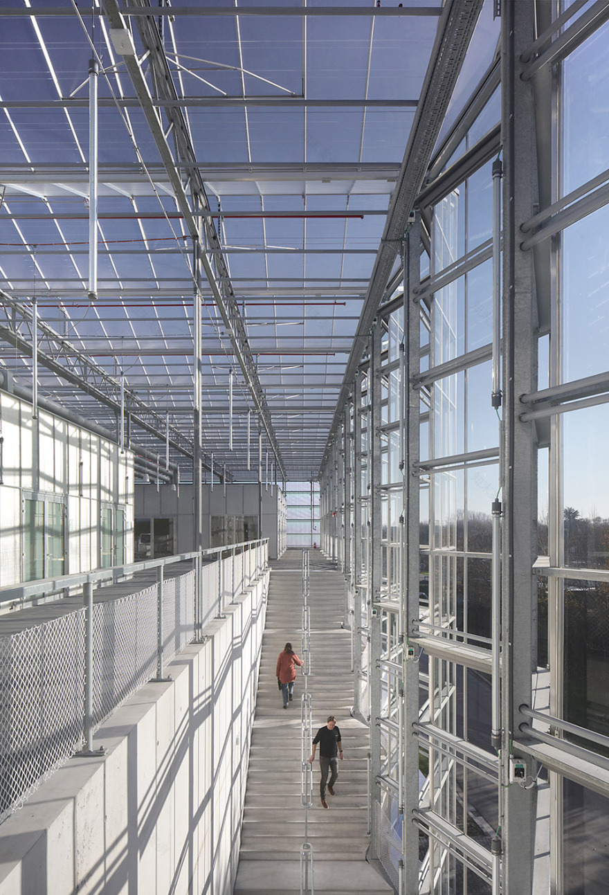 Agrotopia屋顶温室&城市园艺研究中心丨比利时-29