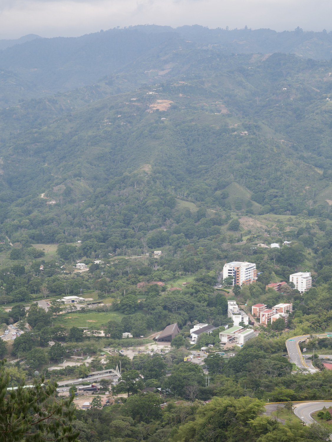 折叠屋顶下的绿意教堂-41